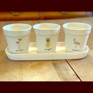 Set of 3 Rae Dunn planters with tray